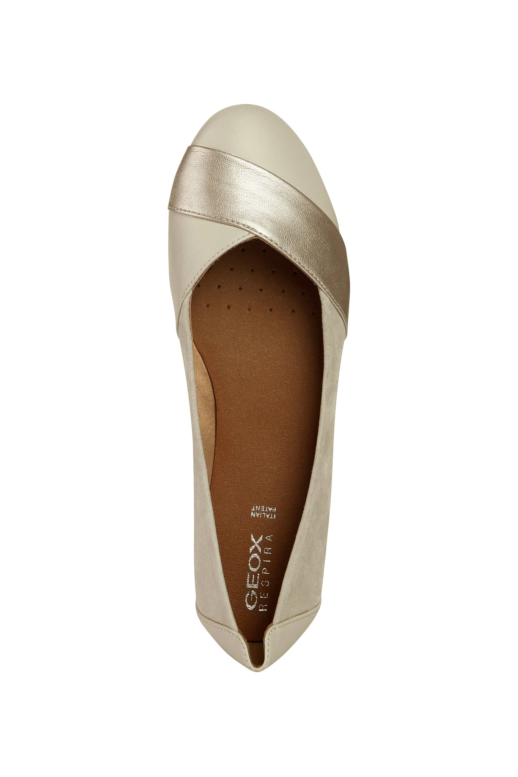 D CHARLENE A-D35Y7A021NFC5379
