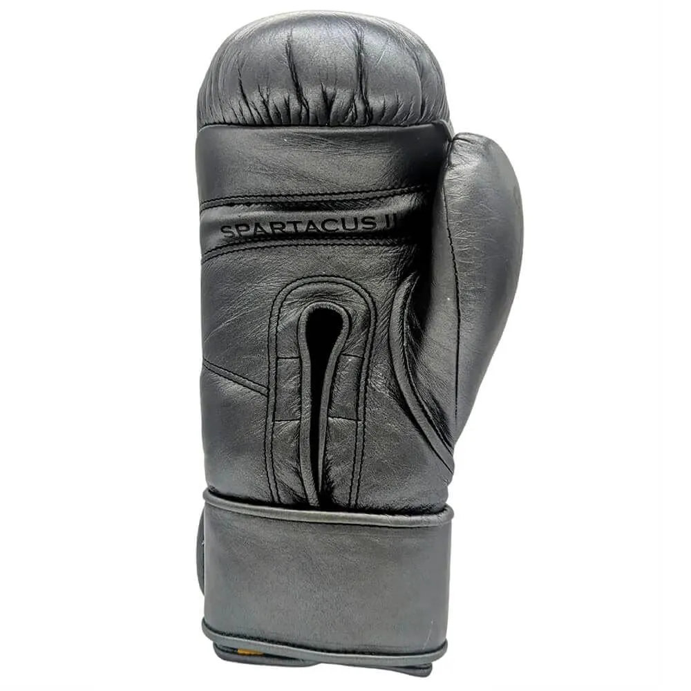 Empire Spartacus II Training Hook & Loop Gloves