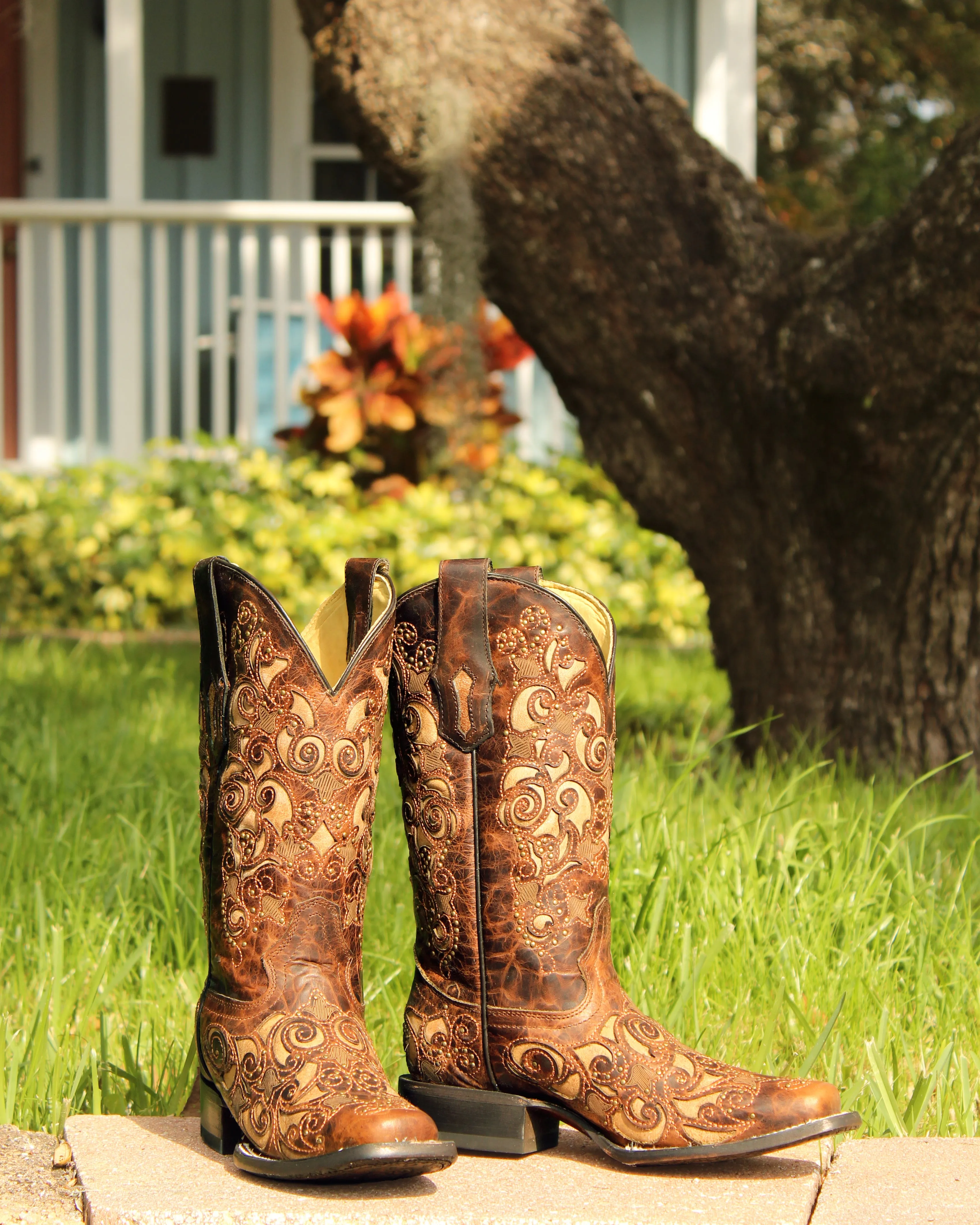 Women's Studded Inlay Western Boots